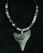 Megalodon Tooth Necklace - Serrated #6318-1
